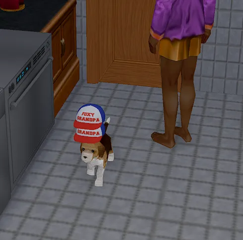 A dog wearing TWO hats!